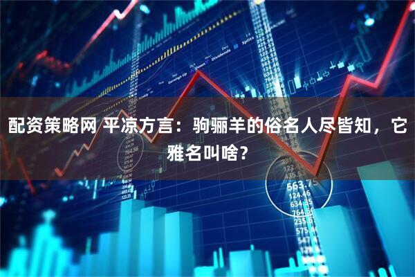 配资策略网 平凉方言:驹骊羊的俗名人尽皆知,它雅名叫啥?